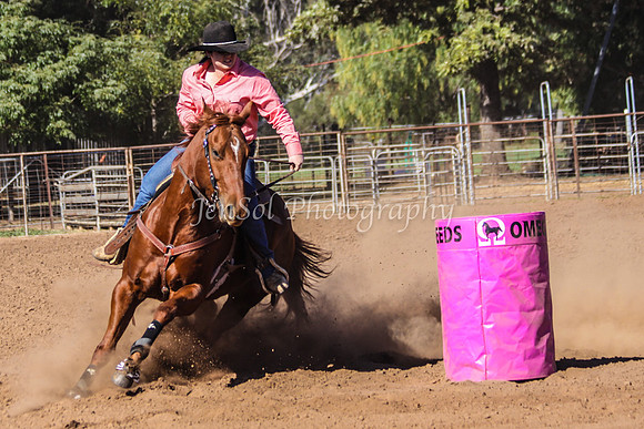 Dubbo2 338