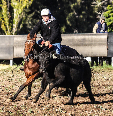 IMG_0020Jugiong1