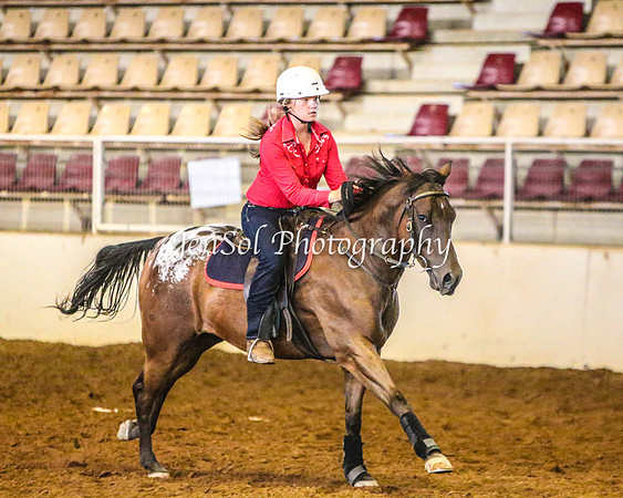 RealDealRodeoFeb2014_0319