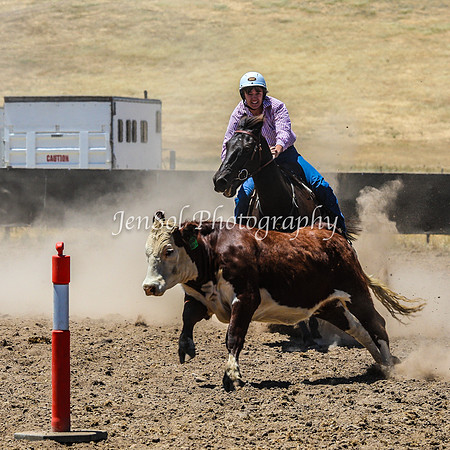 AdaminabyCampdraft2015_0359