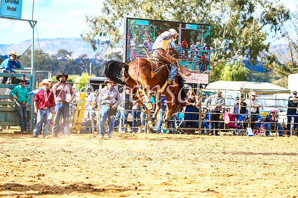 TumutRodeo2017_1726