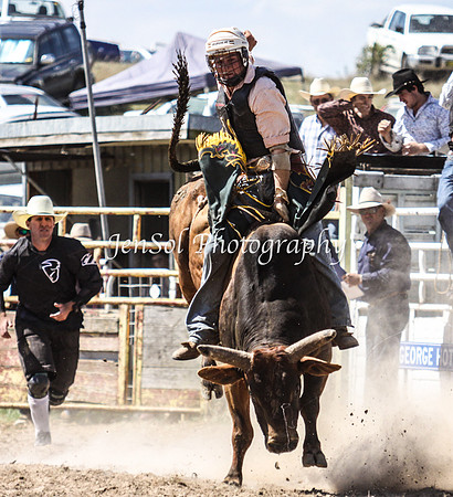 Bungendore2011_1158