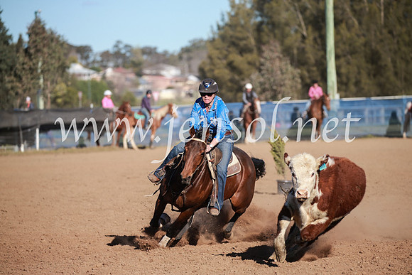 CCCampdraft2016_6253