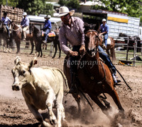 IMG_0104