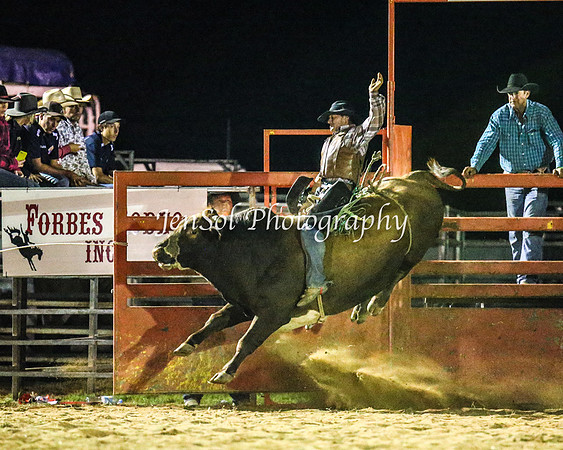 ForbesRodeo2014_4233