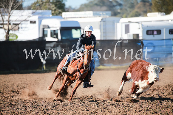 CCCampdraft2016_5199