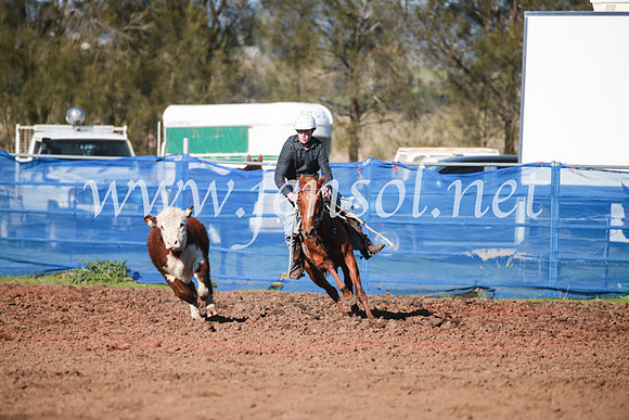 CCCampdraft2016_5192