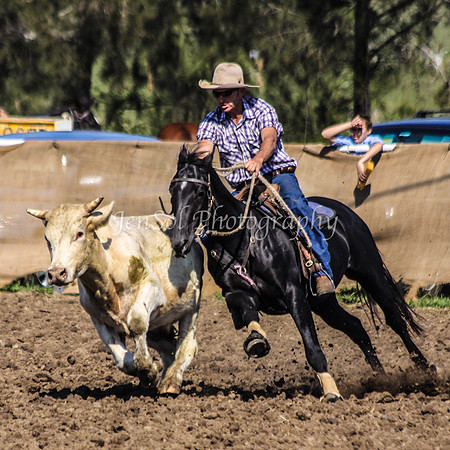 Novice 625