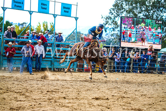TumutRodeo2017_1405