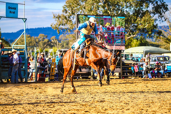 TumutRodeo2017_2592