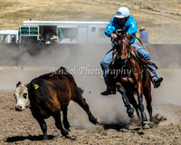 AdaminabyCampdraft2015_0654
