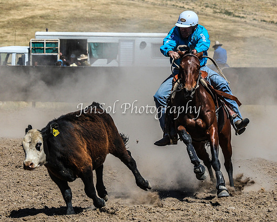 AdaminabyCampdraft2015_0654