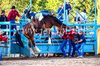 TumutRodeo2017_2973