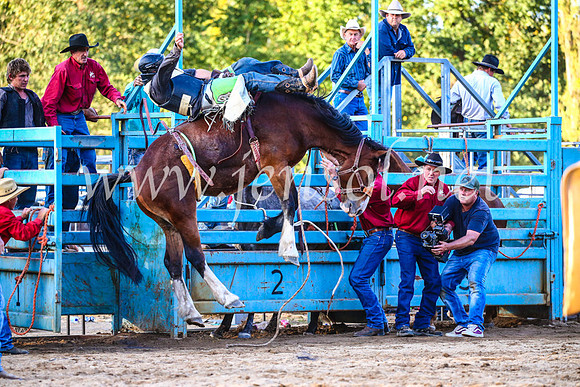 TumutRodeo2017_2973