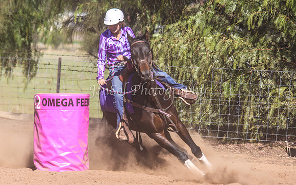Dubbo2 312