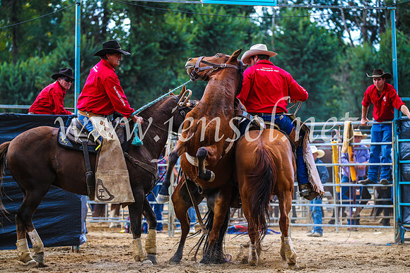 TumutRodeo2017_1389