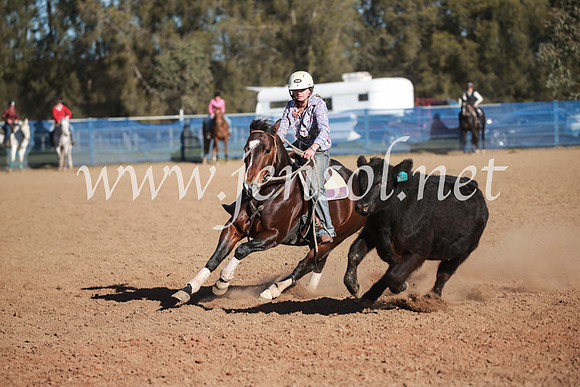 CCCampdraft2016_6290