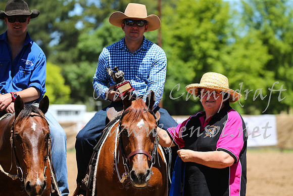 OrangeCampdraft_0112