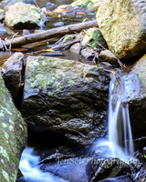 QueenslandJun2019_0020