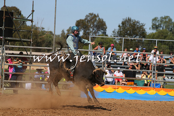 ForbesRodeo2015_0904