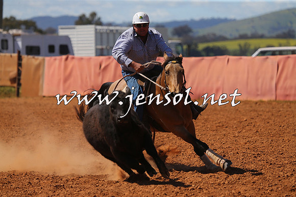 IllaboCampdraft2015_5291