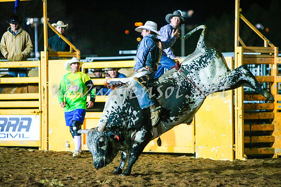 BathurstShow2017Fri_2288