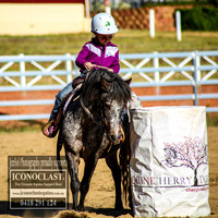 Cooma ABHA January 2019