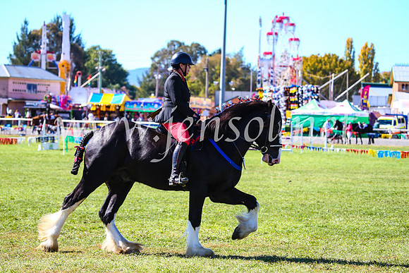 BathurstShow2017Fri_0426