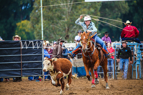 TumutRodeo2017_0219