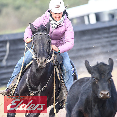 GoulburnCampdraft2018_9141