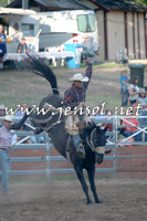 Saddle Bronc