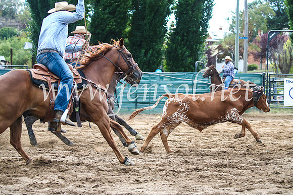 CoomaRodeo2017_1377