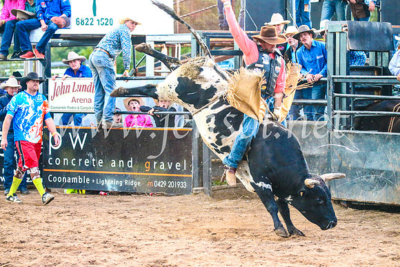 CoonambleRodeoCampdraftSun_5148