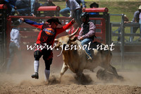 Bullfighters