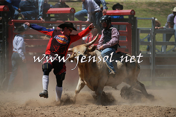 CoomaRodeo2016_0766