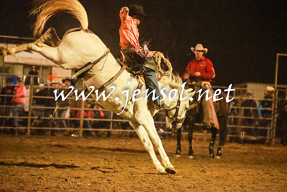TumutRodeo2016Three_6456