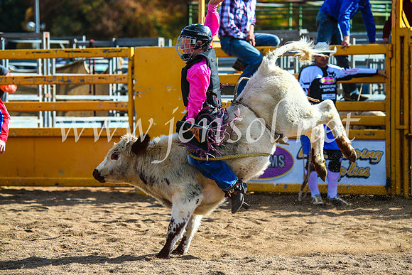 BathurstShow2017Sun_4259