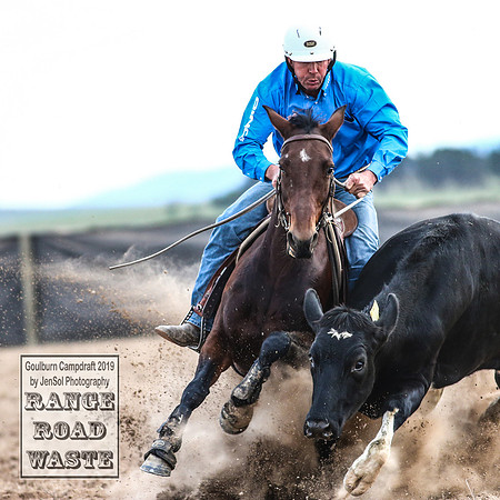 GoulburnCampdraft2019_4993
