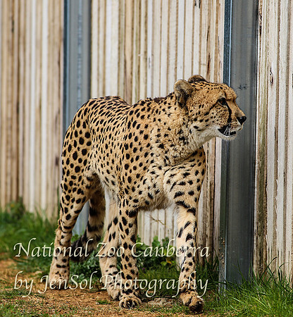 NZAJul2019_0001