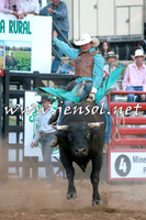Bulls