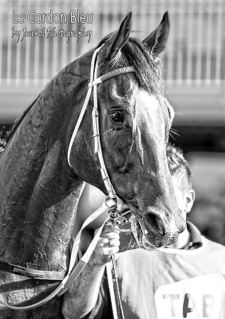 A4SydneyFeb2015_0322