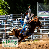 TaralgaRodeo2019_5319