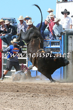 BungendoreRodeo2014_2240