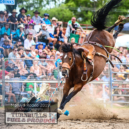 MoruyaRodeo2019_5198
