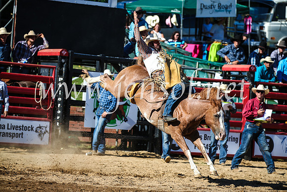 CoomaRodeo2017_2106