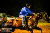 Ross Webb Memorial Open Campdraft