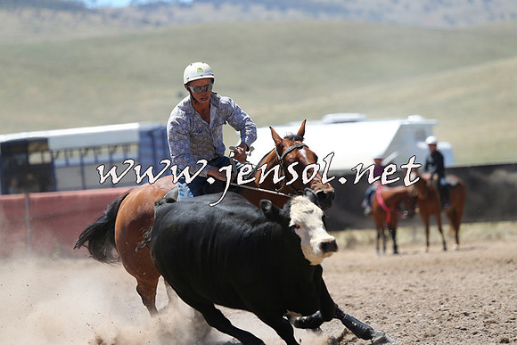AdaminabyCampdraft2014_0038
