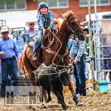 QueanbeyanRodeo_1611
