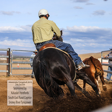 AdaminabyCampdraft2019_2791