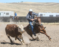 AdaminabyCampdraft2015_0582
